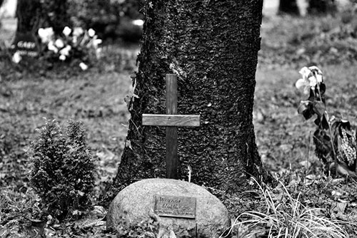 Baumbestattung bei Wohnstudio Neuhaus in Essen