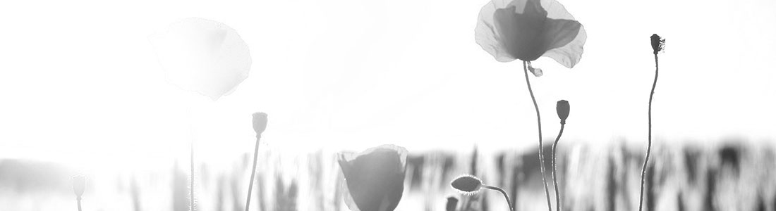 Vorsorge leicht gemacht durch Wohnstudio Neuhaus in Essen Burgaltendorf