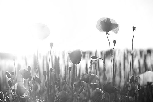 Vorsorge leicht gemacht